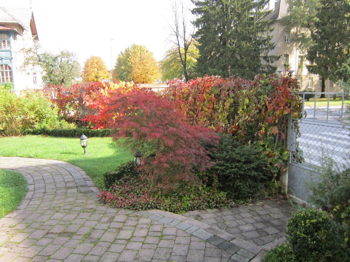 Guest House Veronika Kocevje Luaran gambar